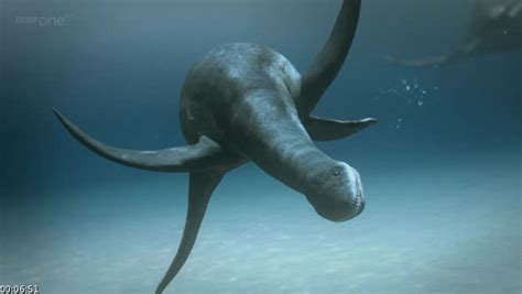 At 15 metres long and weighing about 45 tonnes, predator x was the most powerful marine reptile ever discovered. Kimmerosaurus | BBC Planet Dinosaur Wiki | Fandom