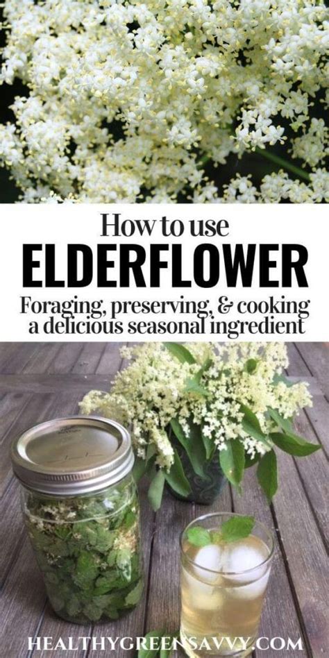 What Is Elderflower Fantastic Elderflower Benefits And Uses