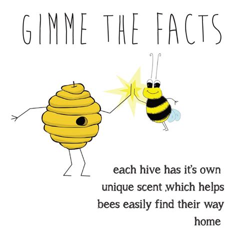 Gimme The Facts Bee Factsbees Are So Important Thats Why Buzz