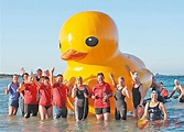 巨型黃鴨「出海失蹤」 - 香港文匯報