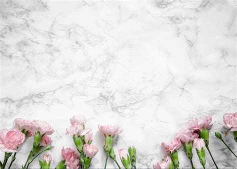 White and grey marble background. pink carnations flowers white marble grey wedding party ...
