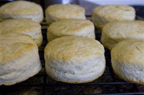 Put the flour, salt, baking powder, and sugar in a bowl. Light and Fluffy Baking Powder Biscuits | Tasty Kitchen: A ...