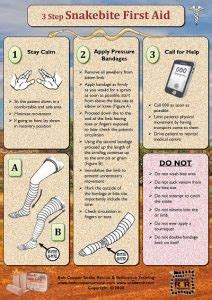 New Release Snake Bite First Aid Treatment Poster Bob Cooper Outback
