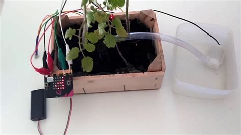 Microbit Automatic Watering System Youtube