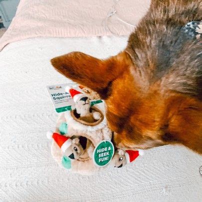 Interactive squeaky hide and seek dog toys! most on sale at amazon