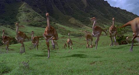 Gallimimus Flocking Scene Jurassic Park Wiki Fandom Powered By Wikia
