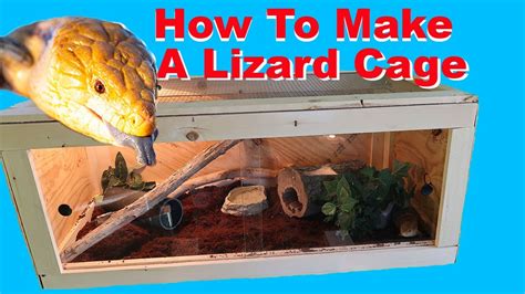 How To Make A Lizard Cage Cheap Youtube