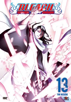 Bleach Vol 13