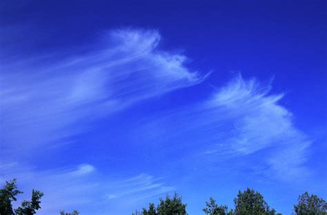 Cirrus Clouds In Blue Sky Photograph By Wil Meinderts