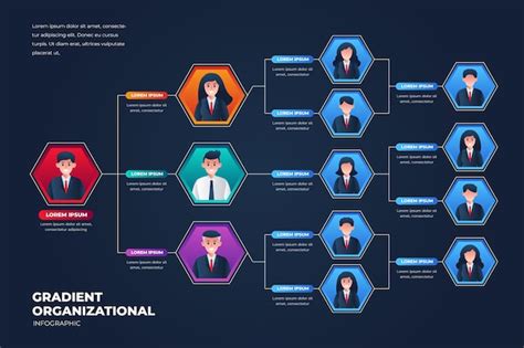 Organization Chart Template Free Vectors And Psds To Download