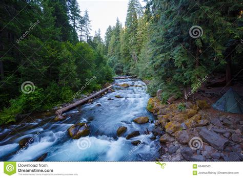 North Umpqua River Oregon Stock Image Image Of Scene 66486563