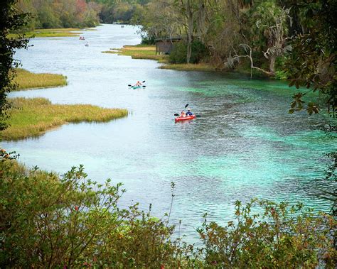 Rainbow Springs State Park Fl Photograph By Ron Koeberer
