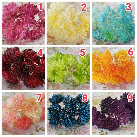 Maybe you would like to learn more about one of these? Jual Termurah - artificial kaktus palsu bunga palsu hiasan ...