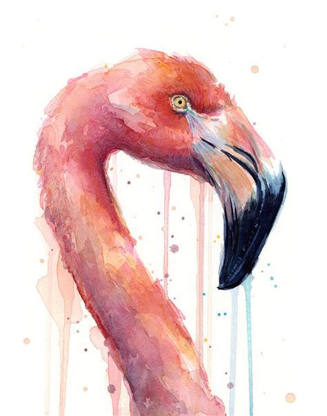 Flamingo Painting Watercolor Facing Right Art Print By