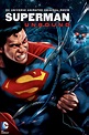 The Geeky Guide to Nearly Everything: [Movies] Superman Unbound (2013)