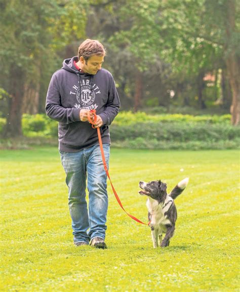 Hundetrainer martin rütter kann wohl mit verbundenen augen fühlen, ob ein 200 meter entfernter dobermann gerade kuscheln oder doch lieber zwei zwergpinscher fressen will. Freispruch für den Vierbeiner! | Pfalz-Echo