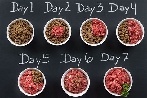 This question has come up a lot in the comments so i figured i'd address it in the post. 100 Raw Dog Food Rezepte für Ihren Frenchie