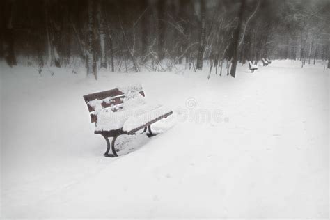 Snow Covered Park Bench Stock Image Image Of Blizzard 47518249
