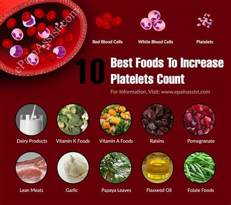 How Do Platelets Help Cancer Patients Kwhatdo