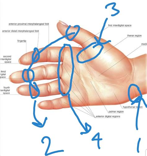 Anyone With Similar Symptoms Wrists Pinky Side Fingertip Joints Below Thumb Rsi