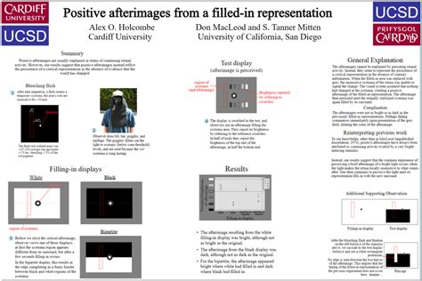 Positive Afterimages From A Filled In Representation Poster Download Scientific Diagram