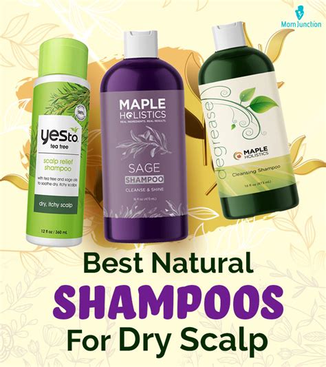 Best Natural Shampoos For Dry Scalp As Per Expert Momjunction