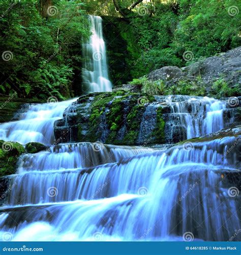 Waterfall In Temperate Rainforest Stock Image Image Of Stream Creek