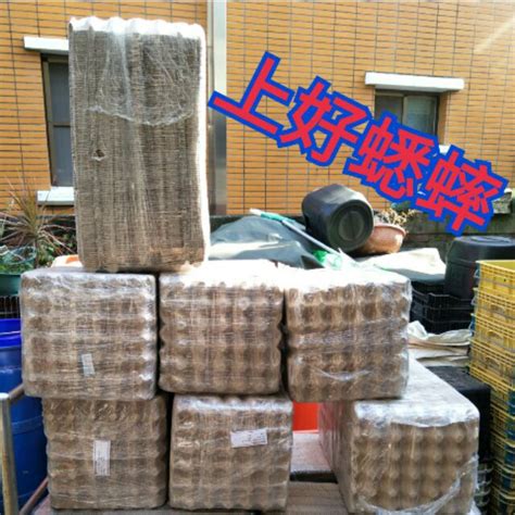 有螳螂、 蜣螂、 蟑螂、 蚂螂 a beetle name。 如: 蟋蟀紙蛋盒的價格推薦 - 2021年3月| 比價比個夠BigGo