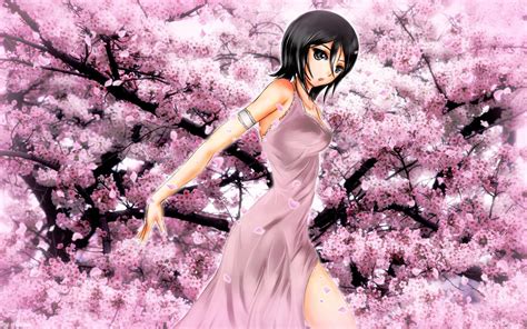 anime cherry blossom girl wallpapers top free anime cherry blossom girl backgrounds