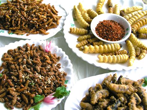 Des Insectes Dans Nos Assiettes • Paléo Régime