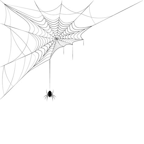 Spider On Corner Web Design Element For Halloween Black And White