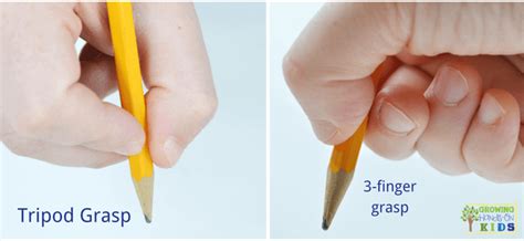 Pencil Grasp Development The Tripod Grasp