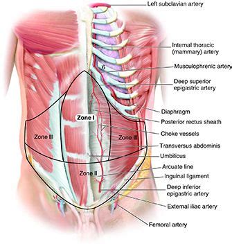 Tightness in chest can be a discomforting sensation experienced between the upper abdomen and the neck. Clinical anatomy of the abdominal wall: hernia surgery.OA ...