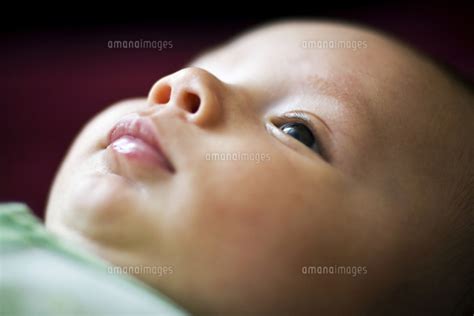Close Up Of A 2 Months Old Eurasian Baby Boy 11118012200 の写真素材・イラスト素材