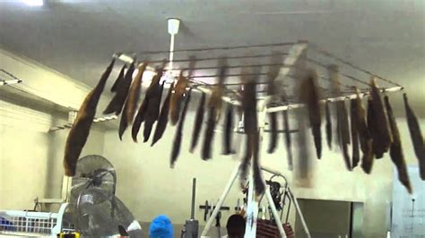 View gumtree free online classified ads for biltong drying cabinet and more in south africa. Drying biltong without the flies! - YouTube
