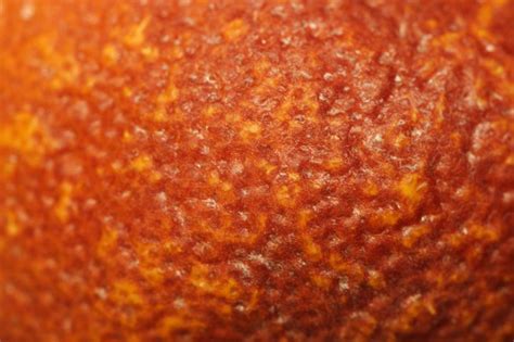 Free Stock Photo Of Orange Peel Texture Download Free Images And Free