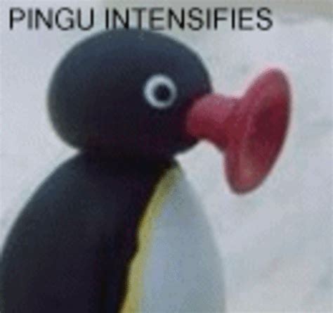 Image 768470 Noot Noot Know Your Meme