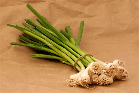 Top Health Benefits Of Green Garlic Hb Times