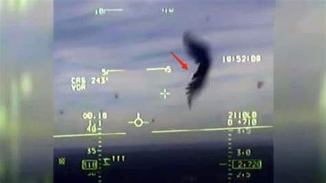 What Happens When A Vulture Hits A Plane Thats Going 400mph Actual