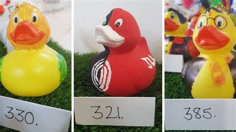Who Will Be The 2018 Best Dressed Duck Birchwood Park Parklife