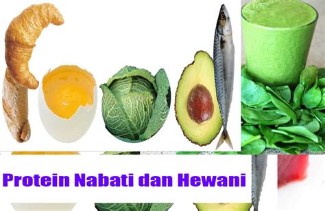 Tidak ada komentar untuk 20 contoh makanan awetan hewani dan nabati. Jenis Makanan Apa Yang Mengandung Protein Hewani ...