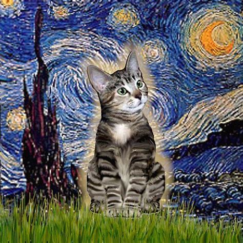 Starry Night Van Gogh With A Brown Tabby Cat This Design Is