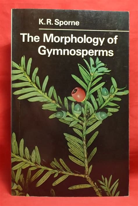 The Morphology Of Gymnosperms