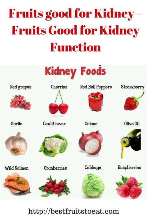 Best Foods To Eat On A Renal Diet Health Blog