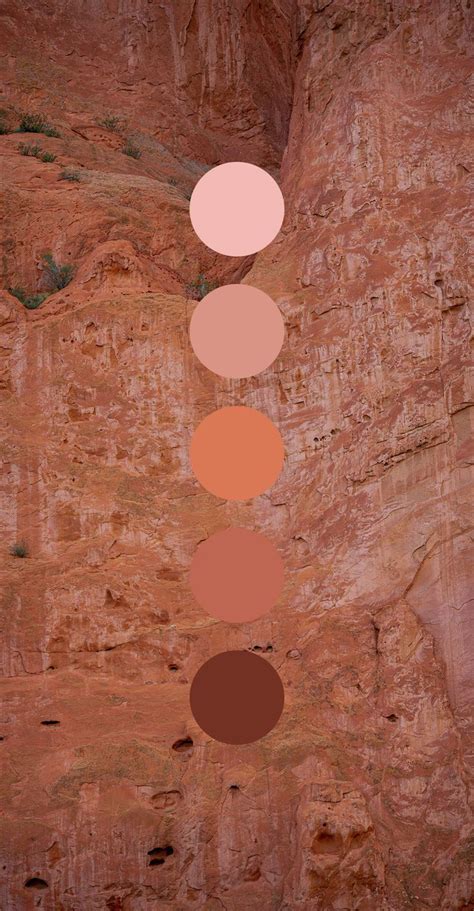 Spa Color Palette Desert Color Palette Brown Color Palette Desert
