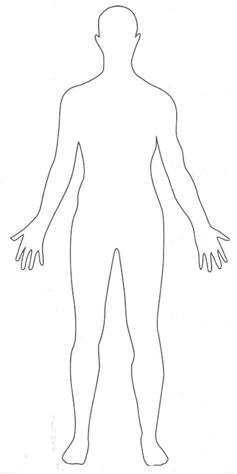 Outline Of Human Body Human Body Drawing Body Template Body Outline