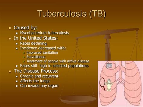 Ppt Introduction To Tuberculosis Powerpoint Presentation Free