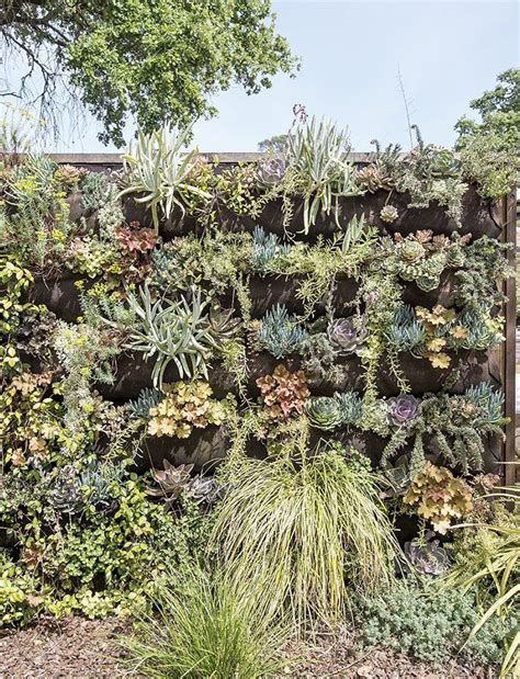 Dwell Living Green Walls 101 Their Benefits And How Theyre Made