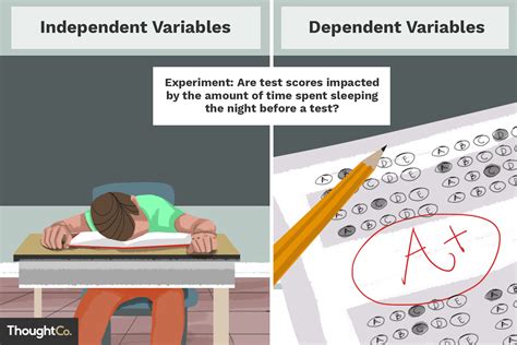 Independent and Dependent Variable Examples