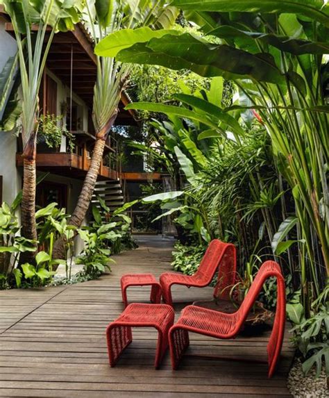 Tropical Jungle Patio Designs
